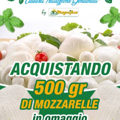 Multiservice Brindisi